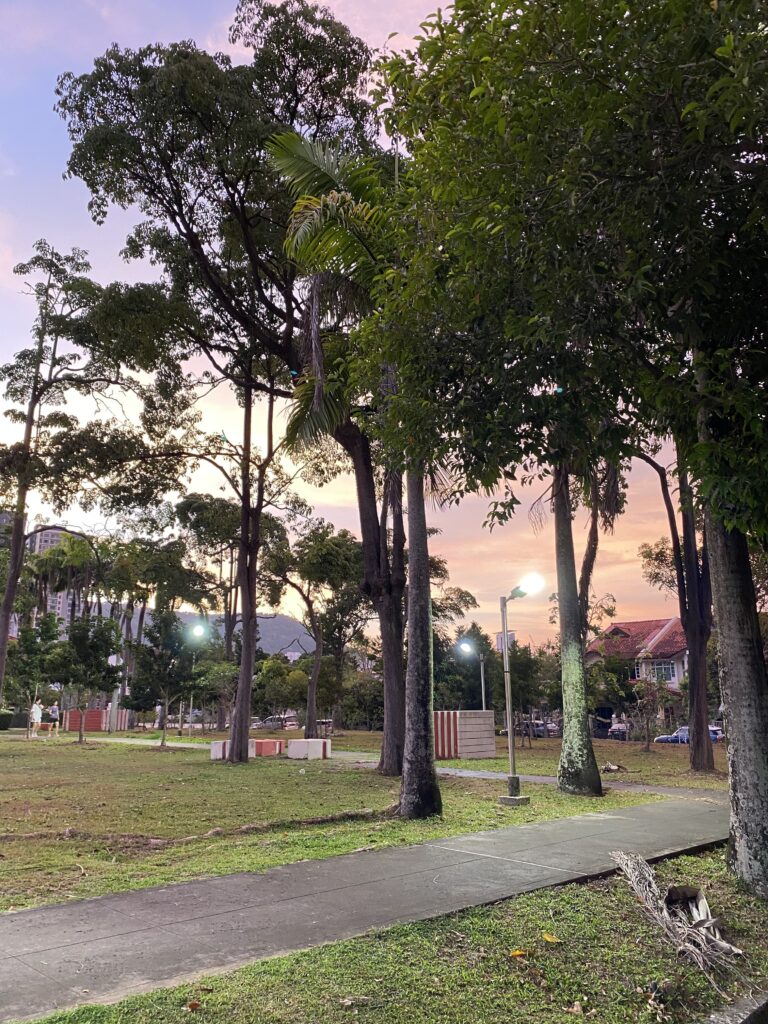 What to do in Penang at night