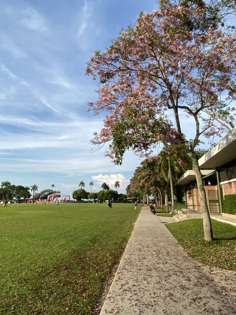 what Penang weather feels like