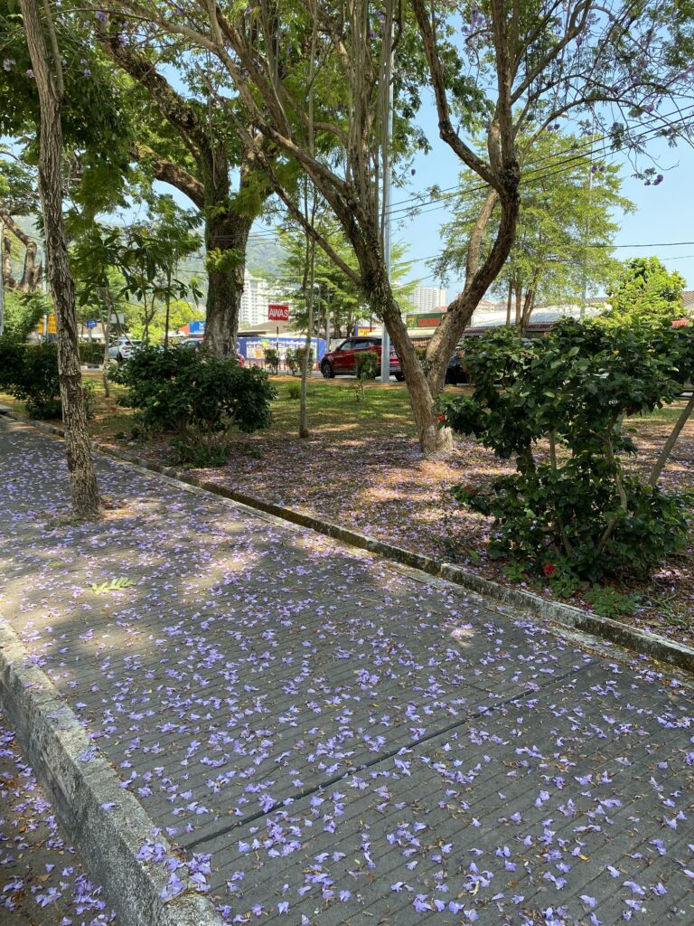 Penang lifestyle vs big cities