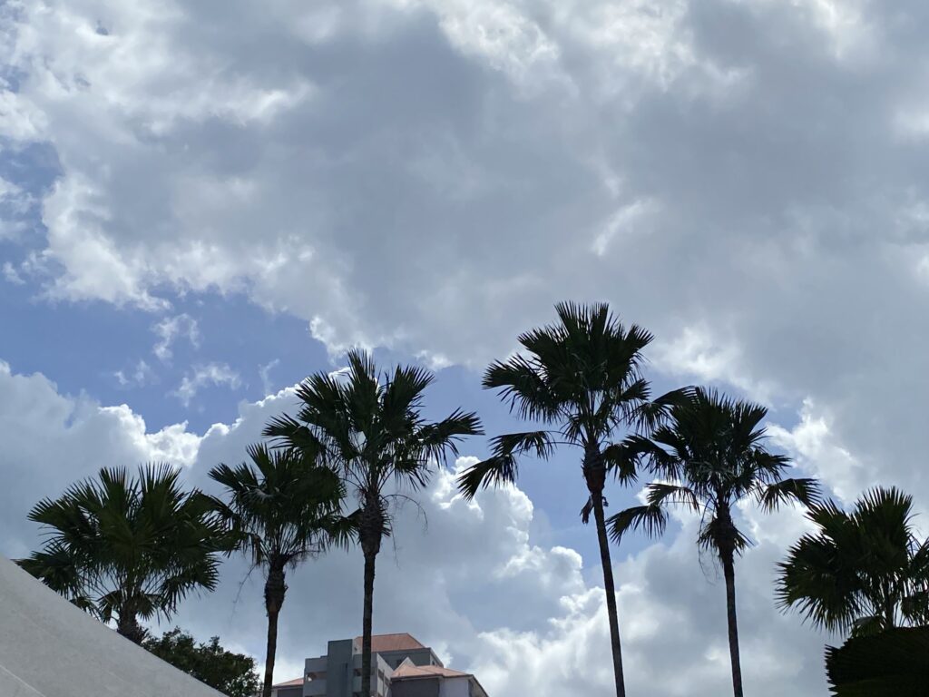 moving to Penang what to do first