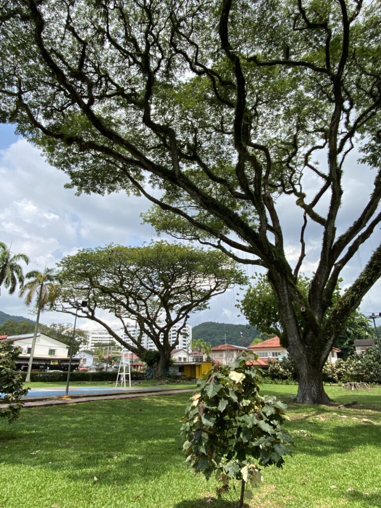 Green Lane Penang