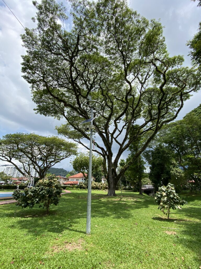 Green Lane Penang