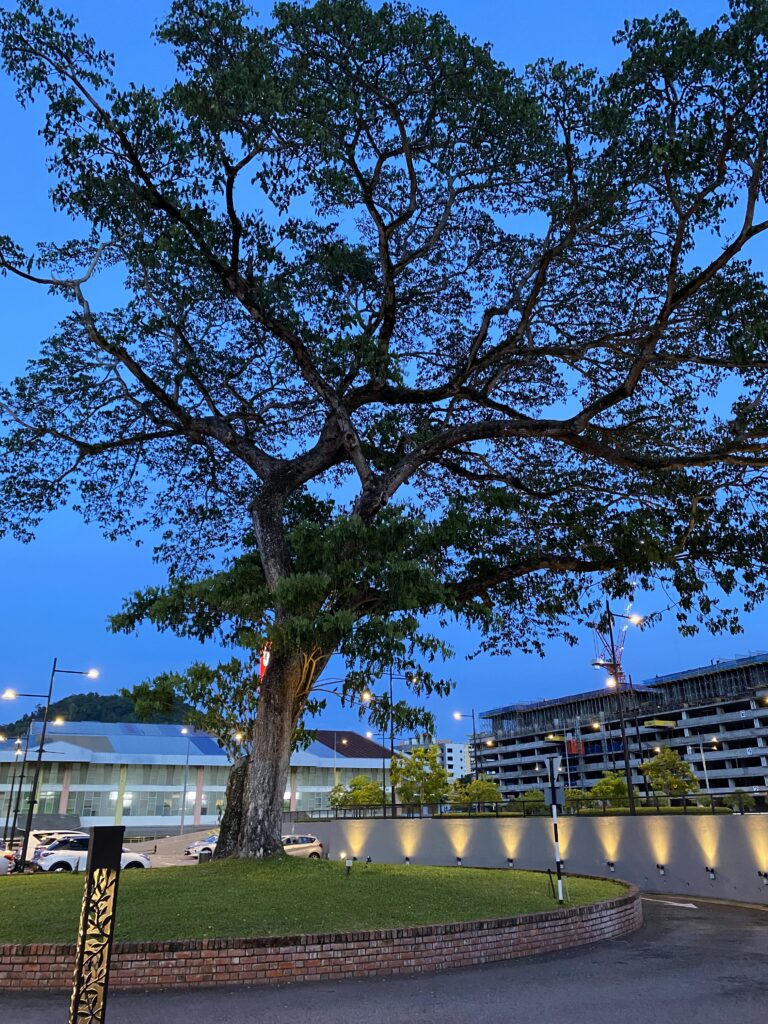 what is it like living in Penang