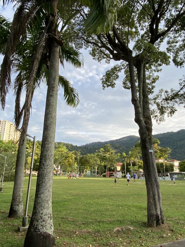 what is it like living in Penang