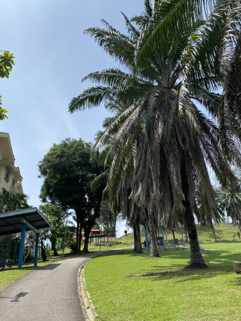 Bukit Dumbar Park Penang