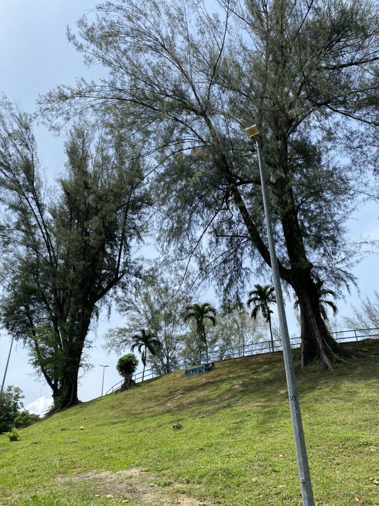 Bukit Dumbar Park Penang