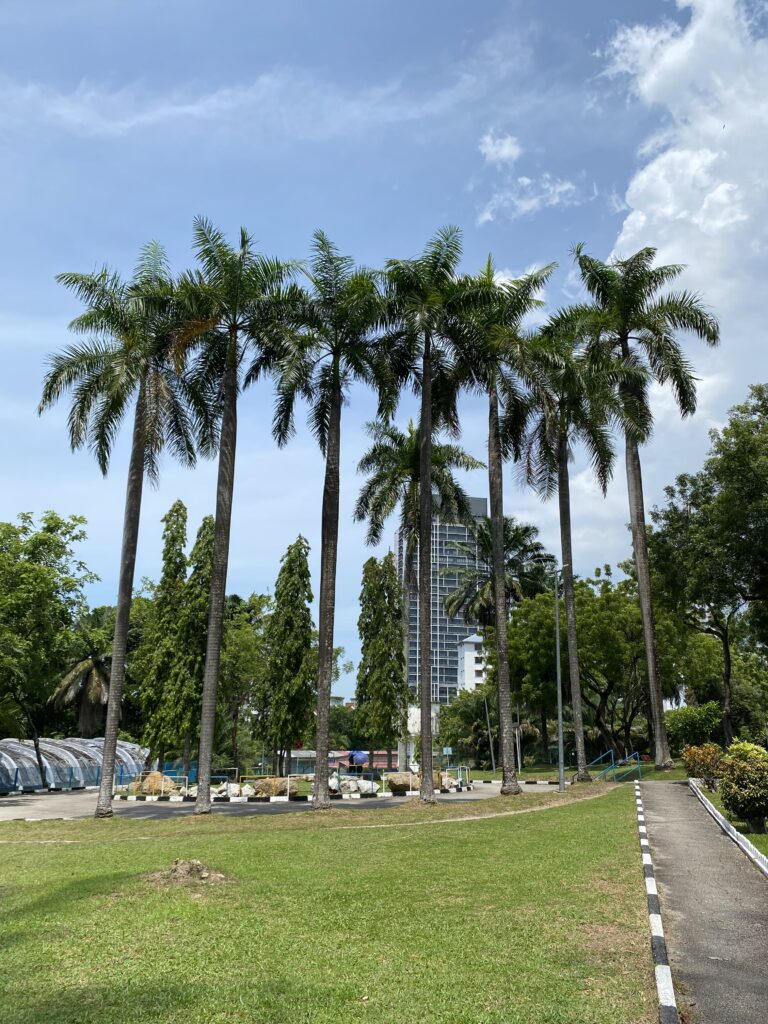 Bukit Dumbar Park Penang