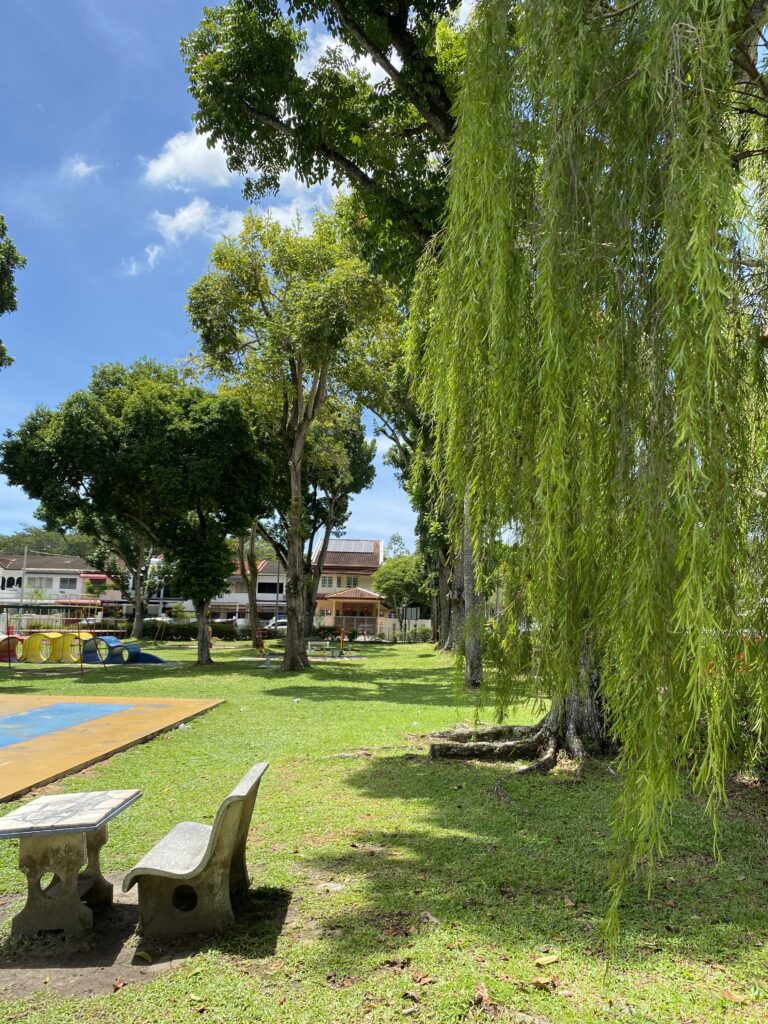 UNESCO World Heritage Sites in Asia, George Town, Penang