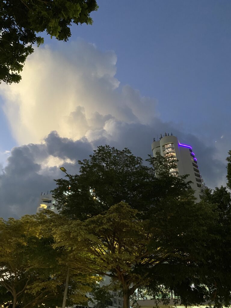 living in Penang