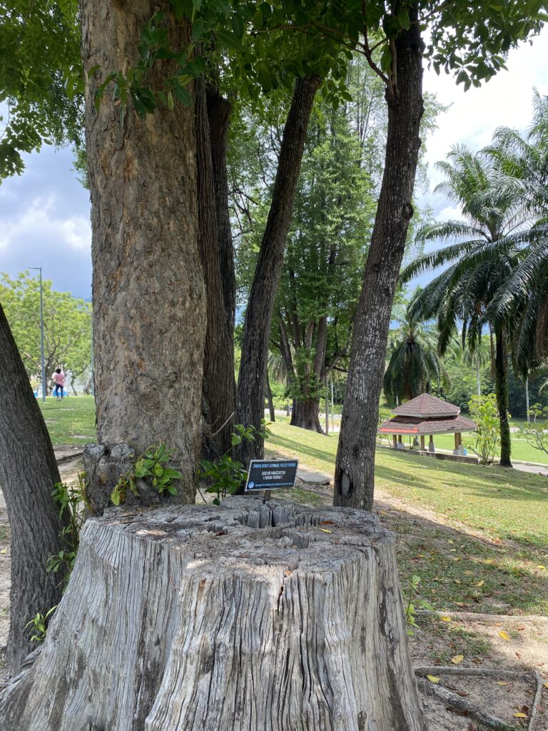 Hospitals in Penang, penang scenery