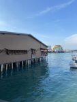Chew Jetty Penang, George Town World Heritage Day 2026