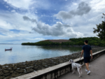 Pet-friendly Penang
