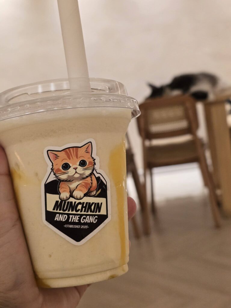 Pet-friendly Penang