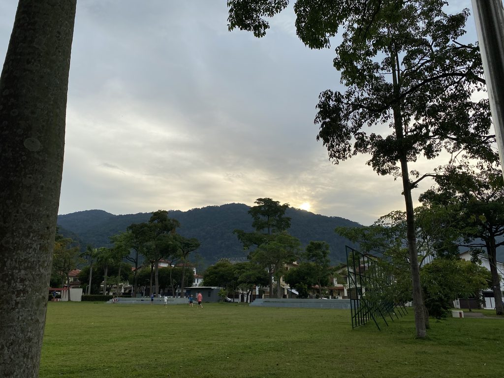 is Penang cat-friendly