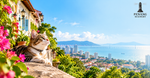 is Penang cat-friendly