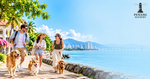 living in Penang with a dog